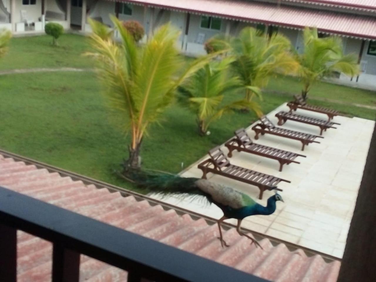 Nilakma Lagoon Negombo Eksteriør billede